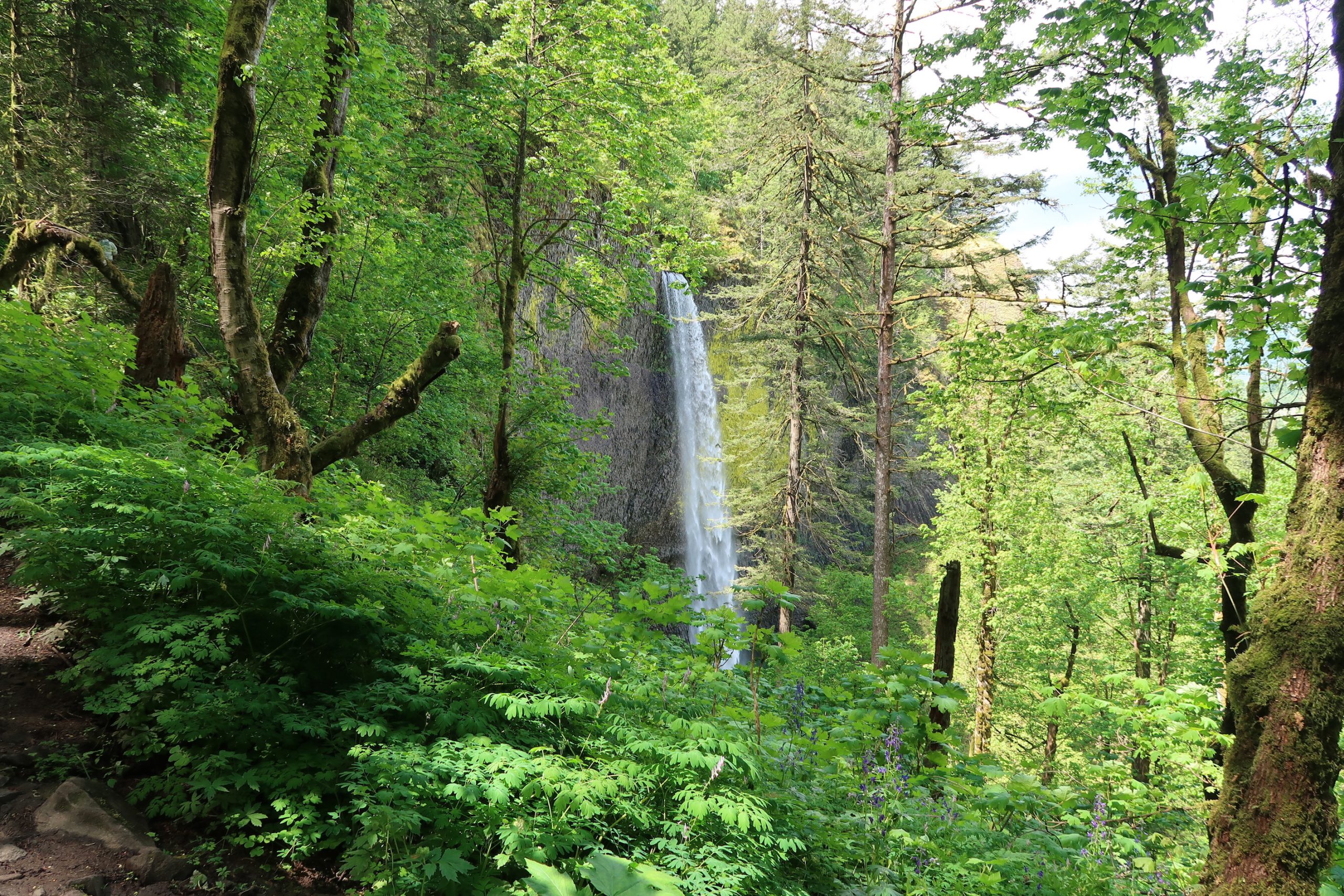 プライバシーポリシー