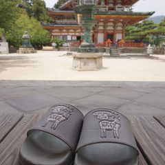 買い物からちょこっとしたお出かけや、トリップまで。